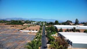 Zillow has 17 homes for sale in olive hill ky. Olive Hill Greenhouses Home Facebook