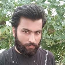 International experts