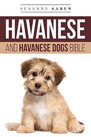 Havanese And Havanese Dogs Bible Includes Havanese Puppies Havanese Dogs Havanese Breed Havanese Rescue Finding Breeders Havanese Care Mixes Bichon Havanese Havapoo And More Kindle Edition By Saben Susanne Crafts Hobbies