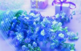 H e a r t 3. Valentine Flowers Wallpapers Valentine Flowers Stock Photos