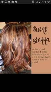 Auburn Golden Blonde Foiled Highlights Lowlights Hair Styles Hair Color Auburn Blonde Foils