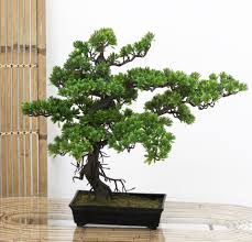 Vous cherchez un arbre ou une plante artificielle pour l'extérieur ? Grande Plante Artificielle Exterieur Au Meilleur Prix Leroy Merlin