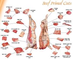 pin on nutrition infographics