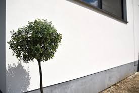 Advice please on how to apply it!! Soldo Crepi Home Facebook