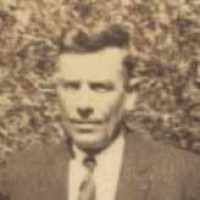 Harry Slay Bushey (1882–1960)