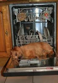 Magnet planar handleless grey gloss 7 kitchen unit £1399 fitting all london. Elizabeth Matuzak Lizzymichigan Profile Pinterest