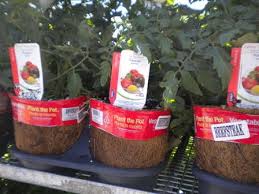 We did not find results for: Lowe S Edibles Program To Challenge Bonnie Plants Greenhouse Grower