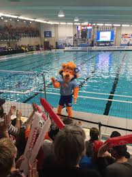 Players require plenty of stamina as they are not allowed to touch the bottom or side of the pool during a match. Water Polo At The 2016 Summer Olympics Women S Qualification Wikiwand