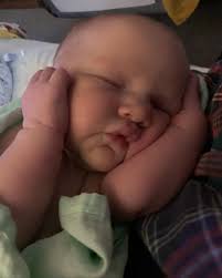 W. Heath Fowler (@wheathfowler) • Instagram photos and videos