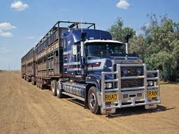 Puzzle Motiv Road Train Outback Northern Territorries 1000 Teile Puzzle Road Train Big Trucks Mack Trucks