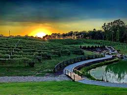 Our sincere gratitude and thanks go to the cape ann museum and sandy bay historical society for allowing us to reproduce the historical photographs depicting the cape ann quarrying industry. Top 12 Wineries Near Big Canoe Ga Everything Big Canoe