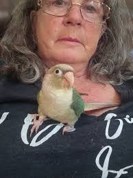 What food do you normally feed your conure baby?