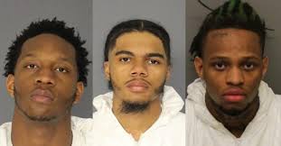 Joseph Celli, MPA, CFE