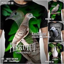 Pin On Kaos Burung Bahan Premium