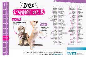 Check spelling or type a new query. Idees De Noms En R Pour Chiens Et Chats Annee 2020