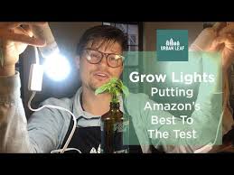 Grow Light Options For Indoor Plants We Re Putting Amazon S Best To The Test Part 1 Of 3 Youtube