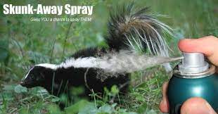 Gardening Skunks Pray What Keep Skunk Away From Your House And Your Yard That Give You A Chance To Spray The Skunk From Your Yard With The Simple And Easy Tech