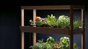 Smart Garden Hydroponics