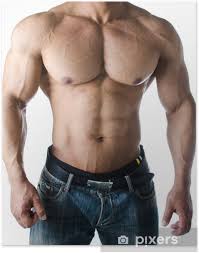 Maybe you would like to learn more about one of these? Muscular Torso Pecs Abs And Arms Of Male Bodybuilder Poster Pixers We Live To Change
