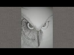 Gambar tato burung hantu di tangan gambar burung hantu. Lukisan Burung Hantu Hitam Putih Cikimm Com