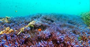 43 lukisan pemandangan pada waktu senja di laut 44 lukisan pemandangan bali 45 lukisan pemandangan pegunungan 46 lukisan pemandangan desa yang indah 47 lukisan pemandangan rumah kampung 48 lukisan pemandangan senja 49 lukisan pemandangan malam hari. Pin Di Gambar Pemandangan Indah