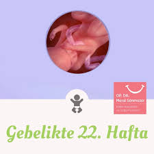 Bebeginiz Bu Haftada Iri Bir Hindistan Cevizi Kadardir Bebeginizin Bu Haftada Boyu 300 Mm Agirligi 500 Gramdir 22 Haftada Bebe Kirpik Erkek Bebek Dudak
