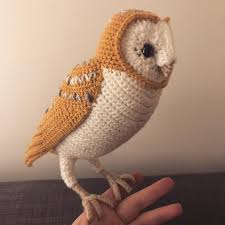 A barn owl. : rcrochet