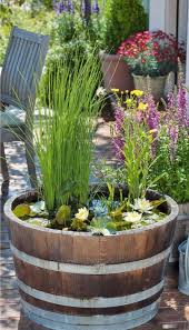 Diy Mini Teich Im Topf Und Noch Viele Tolle Gartenideen Fur Wenig Geld Finden Sie Hier Miniteich