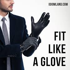 Hello Guys Our Idiom Of The Day Is Fit Like A Glove Which Means To Fit Perfectly Origin This Idiom Is Ba Idioms Idiomatic Expressions English Idioms