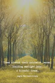 Tree Quotes Tree Poetry That Branch To Your Soul In 2020 Nature Quotes Trees Tree Quotes Nature Quotes
