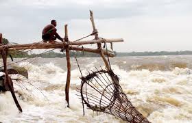 It's fun for the whole family! Bbc Takes Audiences Up The Congo River In Latest Virtual Reality Experience Media News
