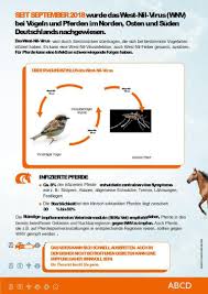 Maybe you would like to learn more about one of these? Tierarztpraxis Ditterke Dr Med Vet S Drogemuller Pferdemedizin