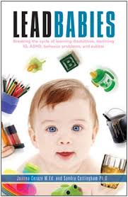 Book Review _ Lead Babies” by Joanna Cerazy and Sandra Cottingham