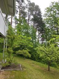 Image result for site:byggahus.se sutteränghus