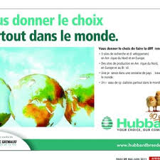 Pdf Fiche Technique De La Semence Pomme De Terre