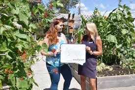 A garden in your palm. Whpux1ogzmirvm