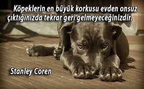 Kopekler Ile Ilgili Sozler Guzelsozler Anlamlisozler Manalisozler Guzel Sozler Ozlusozler Kopek Hayvan Sozleri Hayvanlar Kopek