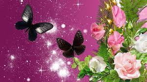 Background undangan pernikahan kosong tak jadi soal jika anda ingin menampilkan kesan sederhana dengan. Dark Butterflies Bouquet Hd Desktop Wallpaper Widescreen High Definition Fullscreen