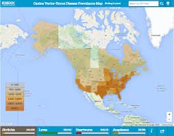 Lyme Disease Rash What Everyone Needs To Know Online Dermatology
