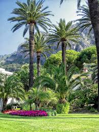 Jardin Maria Serena In Menton Tropical Gardens In Menton French Riviera France Beaux Jardins Jardins Jardin Tropical