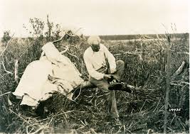 Father of the Everglades