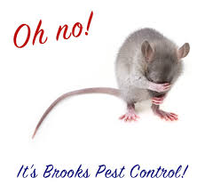 The average cost for pest control is $250. Home Brooks Pest Control
