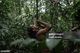 1,934 Amazon Forest Tribes Stock Photos, High-Res Pictures ...