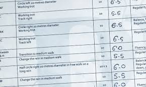 Enter hue in degrees (°), saturation and value (0.100%) and press the convert button color preview: Dressage Scoring