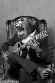 Who Says Animals Can T Play Musical Instruments As People Let S See These Vintage Pictures Funny Vintage Photos Vintage Humor Vintage Photos