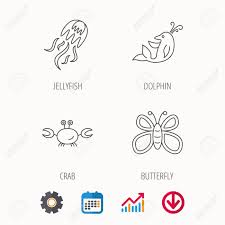 Jellyfish Crab And Dolphin Icons Butterfly Linear Sign Calendar