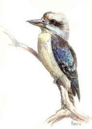 Outdoor Sketching On Watercolour Paper Forum Peinture Chroma Bird Drawings Wildlife Art Australian Native Birds