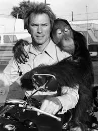 Clint Eastwood Every Which Way But Loose 1978 Photographic Print Art Com Actor Clint Eastwood Clint Eastwood Clint