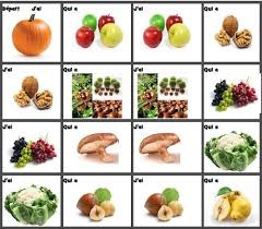 J Ai Qui A Sur Les Fruits Et Legumes D Automne Zaubette Legumes Automne Fruits D Automne Fruits Et Legumes