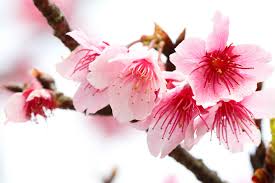 Maybe you would like to learn more about one of these? 12 Haiku That Reflect On Zen Buddhism